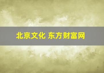 北京文化 东方财富网